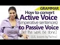 Understanding Passive Voice in Imperative Sentences
