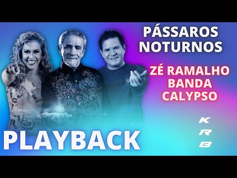 PÁSSAROS NOTURNOS – ZÉ RAMALHO & BANDA CALYPSO – KARAOKE PLAYBACK INSTRUMENTAL