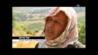 משצים - קורס הישרדות!