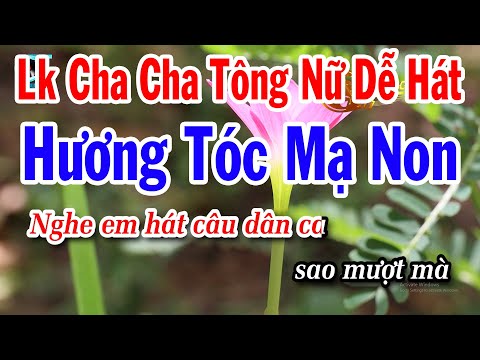 Karaoke Liên Khúc Nhạc Sống Cha Cha Tông Nữ Dễ Hát Nhất 2024 | Hương Tóc Mạ Non | Hình Bóng Quê Nhà