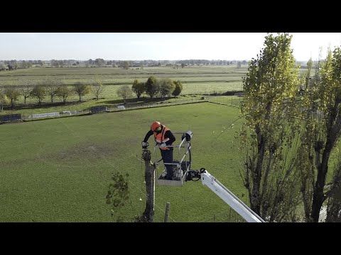 Massimiliano Pegorini