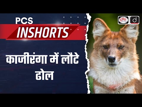 Kaziranga National Park | Asiatic Wild Dog’s | PCS Inshorts | Drishti PCS