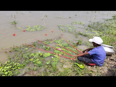 Amazing Big Fish Hook Fishing in River #fishing