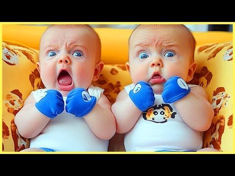 Hilarious Baby Moments That You Can't Miss! 5-Minute Fails