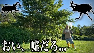 【衝撃】去年100匹のカブトムシがいた木の現在がヤバすぎた.....