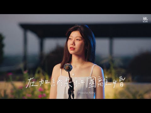 在加納共和國離婚 (菲道尔 & 大颖) Cover ( 蔡恩雨 Priscilla Abby)