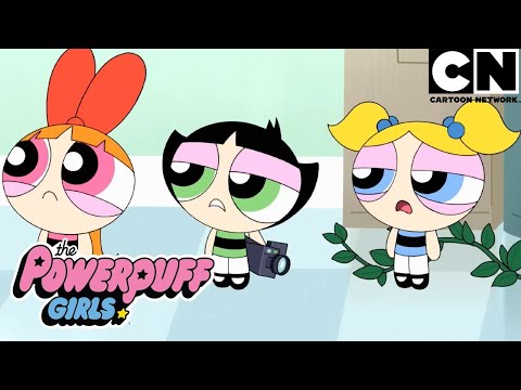 Caos, risas y acción con las chicas | Las Chicas Superpoderosas | Cartoon Network