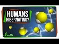 Hibernation and Human Potential