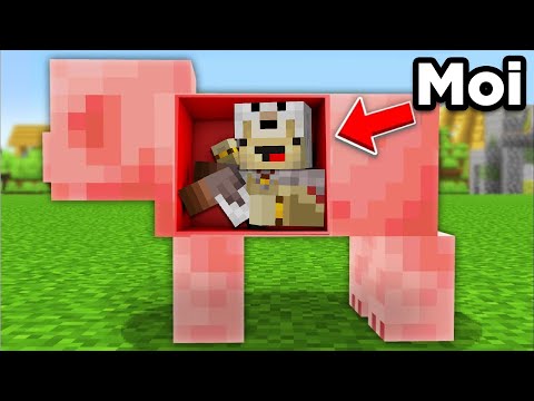 Minecraft Mais je me Fais MANGER par les MOBS !