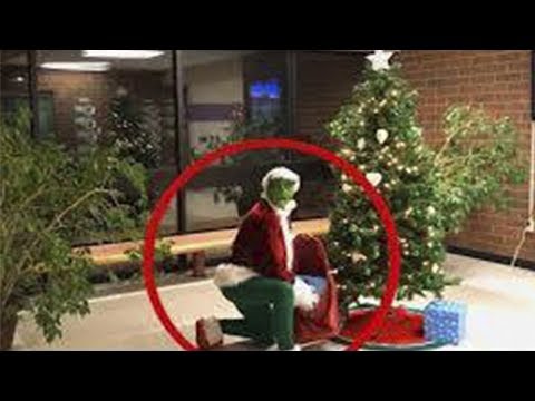 5 Grinch Reales Captados en Cámara