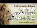 Predator-Prey Relationships in Ecosystems