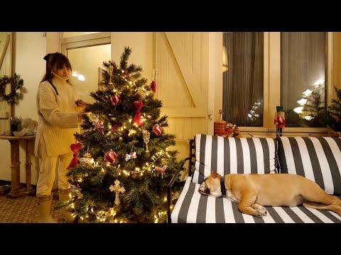 Vlog #24 : déco de Noël et démolition 🎄🔨