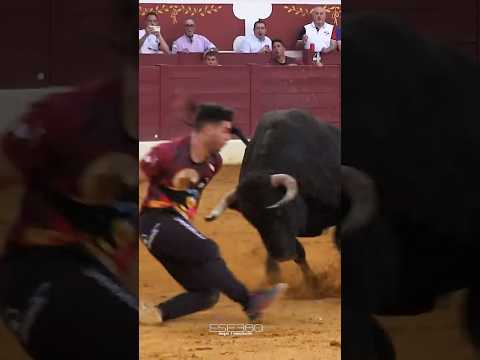 RIESGO EN TORREJÓN 💥  #recortes #torosbravos #españa #2023 #recortadores #toros #madrid