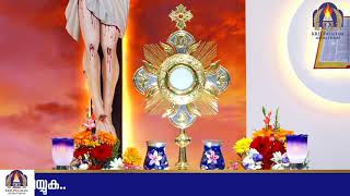 Perpetual adoration/Live from Kreupasanam Marian Shrine