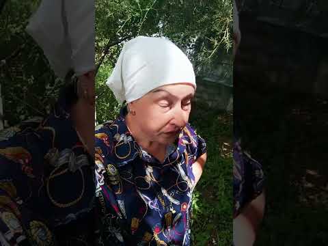 Сосед а твоя жена.,..