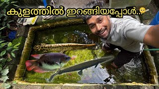 ചീങ്കണ്ണി കുളത്തിൽ ഇറങ്ങിയപ്പോൾ...🥺 | monster pond cleaning | monster fish tank filter | alligator