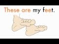 Human Body Parts and Functions