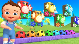 Learn Colors with Baby! Wooden Owl, Tumbling Soccer Ball & Sliding Toy Fun for Kids