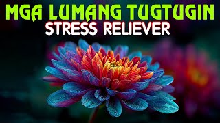 Sweet Opm Tagalog Love Songs 💖 Pampatulog Tagalog Love Songs Nonstop Stress Relief