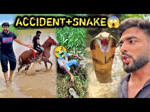 🙏🏻PLEASE RESCUE 💔NEW GH0D! Se BHA! KH€T MA! G!R GYA 😭BLACK SNAKE 🐍 M!L GYA🙏🏻😨