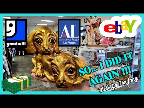 I'm SO GLAD I WENT BACK! / GOODWILL vs ASSISTANCE LEAGUE / THRIFT WITH ME / My TOP 5 HAUL ITEMS