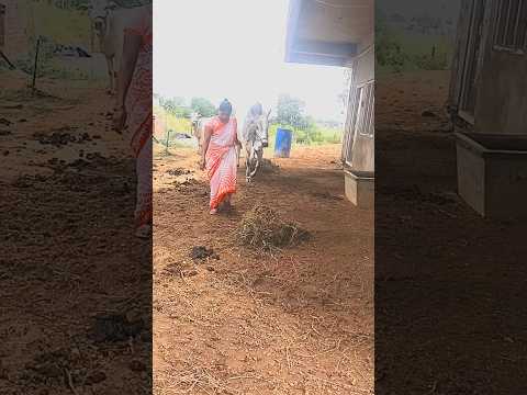 వీడి ఏతులు ఎక్కువైయినాయి బసప్పవి #trendingsong #video #trending