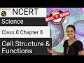Cell Biology Concepts and Functions