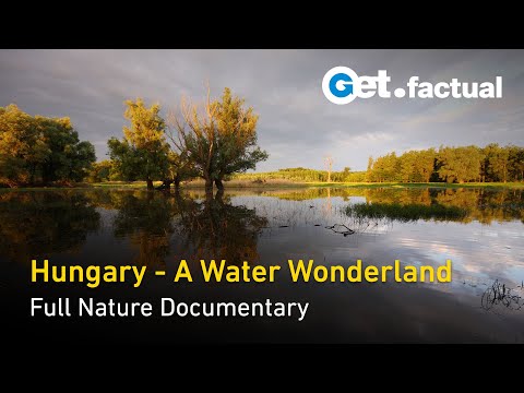 YouTube video thumbnail: Wild Hungary, a Water Wonderland
