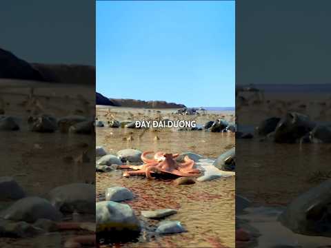 CƠN SÓNG THẦN 2004#facts #shorts #viral