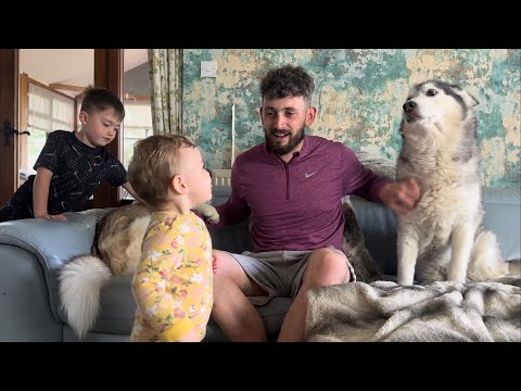 Sassy Baby Argues With Dad Refusing To Go Bed Without Her Husky!😂. [UNSEEN VIDEO] [RIP MILLIE]