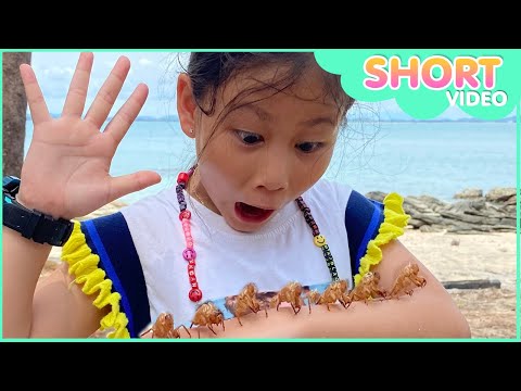 น้ำเพชรเก็บจักจั่นริมทะเล วีดีโอสั้น #shorts