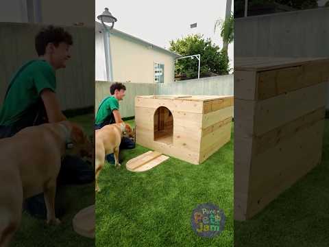 He Built Cozy Pallet Home to Keep His Pet Safe!