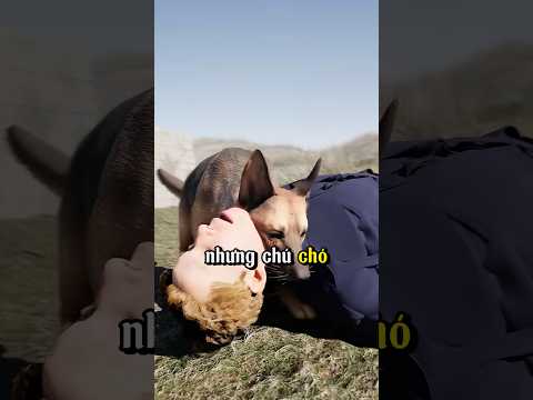 Chú chó được trao huân chương 🤗#shortvideo
