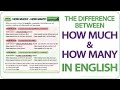 Understanding 'How Much' and 'How Many'