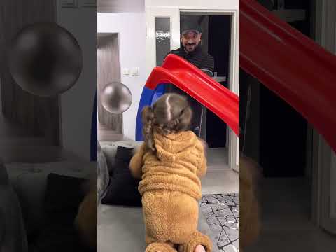 لاتحرم ابنك من شيئ حقق احلامو