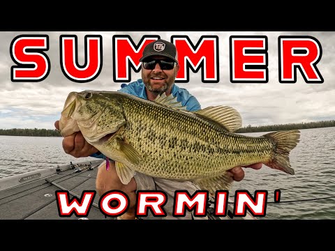 Summer Worm Fishing! Neko Rig vs. Power Shot!
