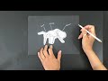 Insect Anatomy and Characteristics