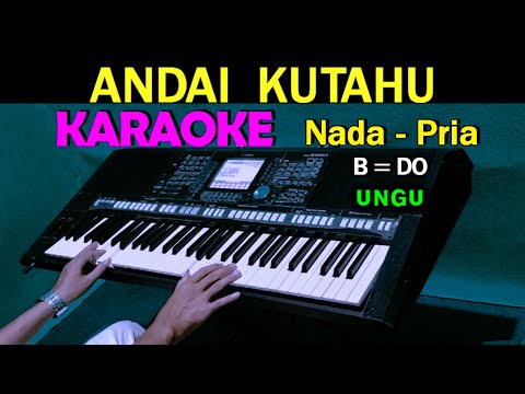 ANDAI KUTAHU – Ungu | KARAOKE Nada Pria, HD