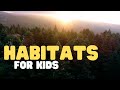 Animal Habitats and Characteristics