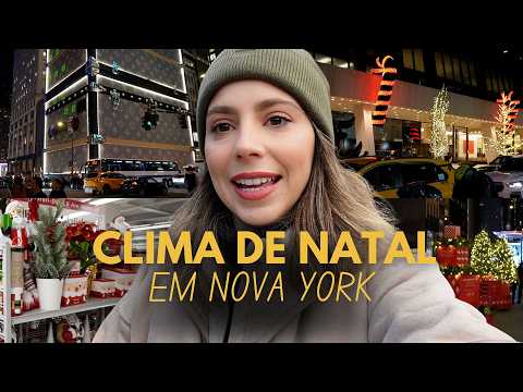 Vlogmas: Chegou o Natal em Nova York | Feirinha de Natal, Central Park e decorações na 5 Avenida