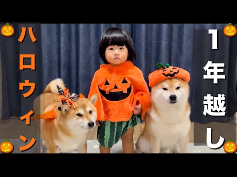 一年越しの「訳ありハロウィン」気付けばアンチハロウィンが増えてた