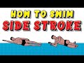 Sidestroke Swimming Techniques and Positions
