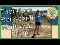 Theodore Roosevelt National Park and Bison