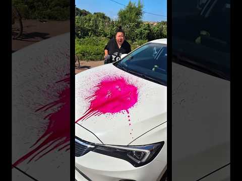 🎨 From White to Disaster 😂 Anshu Ruins Riya’s Car with Colors 🚘😱