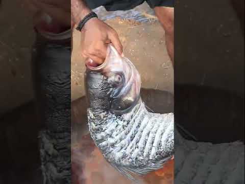 5 kg BIG FISH COOKING & EATINHG VILLAGE MAN || VILLAGE STYLE COOKING AND EATING