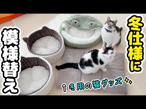 寒くなったので暖かグッズを出したら愛猫たちの反応が意外すぎた