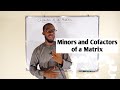 Cofactors and Matrix Operations