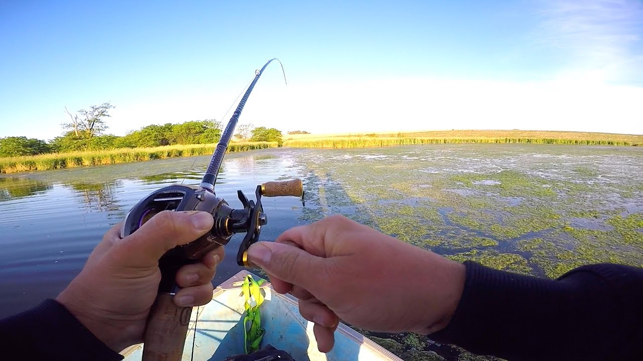 Summer Bass Fishing with Frogs and Worms