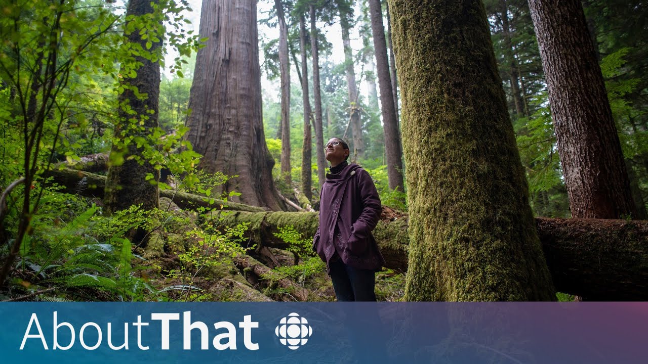 Fairy Creek: Inside the Largest Protest in Canadian History