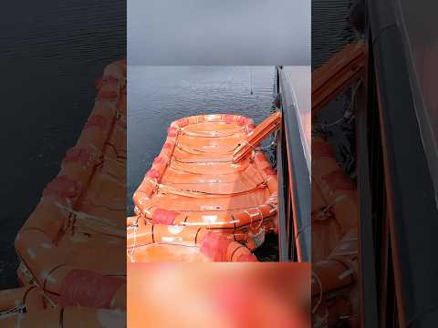 Let’s try the evacuation system #try #evacuations #cruise #sealife #ship #marine